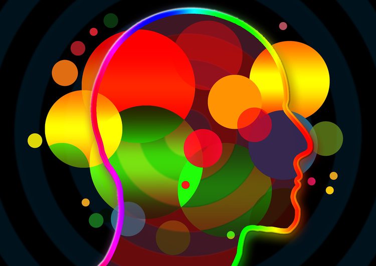 Intelligenza linguistica: canali sensoriali e persuasione7