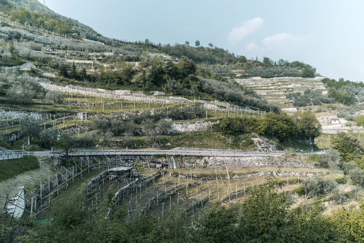 PAESAGGI TERRAZZATI E MANUFATTI IN PIETRA A SECCO. Valenze culturali e conoscenze tecniche dei muri in pietra a secco