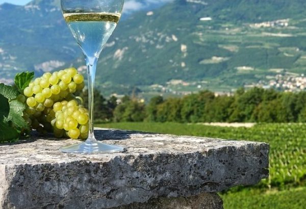 L'enoturismo protagonista in Vallagarina, il progetto dell'Apt con 20 aziende vitivinicole per rilanciare il territorio. Prosser: ''Facciamo rete per ripartire''7
