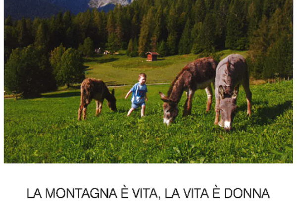 La montagna e’ vita, la vita e’ donna. Il contributo delle donne all’innovazione sostenibile in montagna